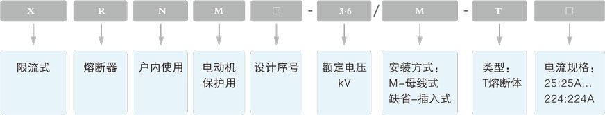 XRNM系列电动机保护用高压限流熔断器(插入式/母线式)型号含义